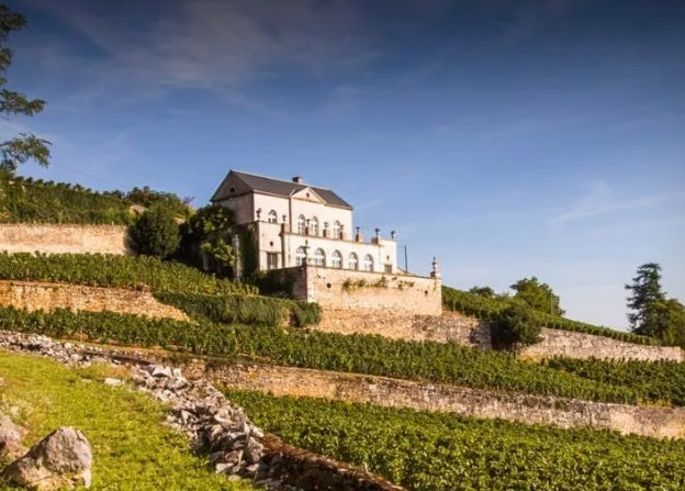 Albert Bichot Chambolle-Musigny 1er Cru 'Les Chabiots' 2022