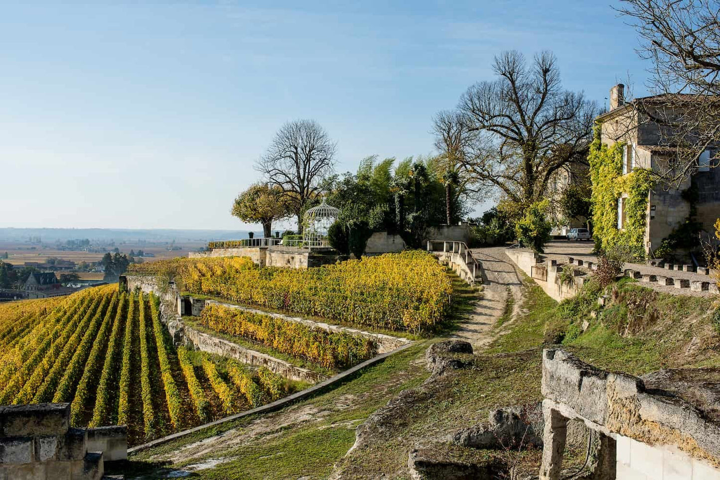 Château Ausone 2010
