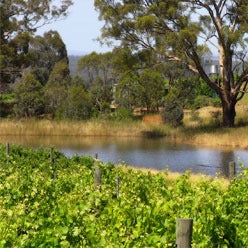 Ben Haines, 'A Hope for the Times' Syrah 2021
