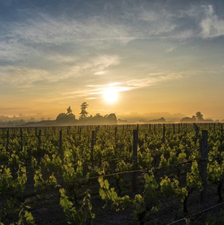 Canon La Gaffeliere 1er Grand Cru Classé 2010