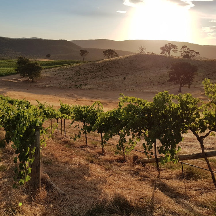 Chapoutier, l'Ermite Ermitage Rouge 2010