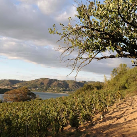 Domaine Combier, Crozes-Hermitage Cuvée ‘L’ Laurent Vintage 2022