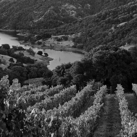Devil Proof Malbec 2012