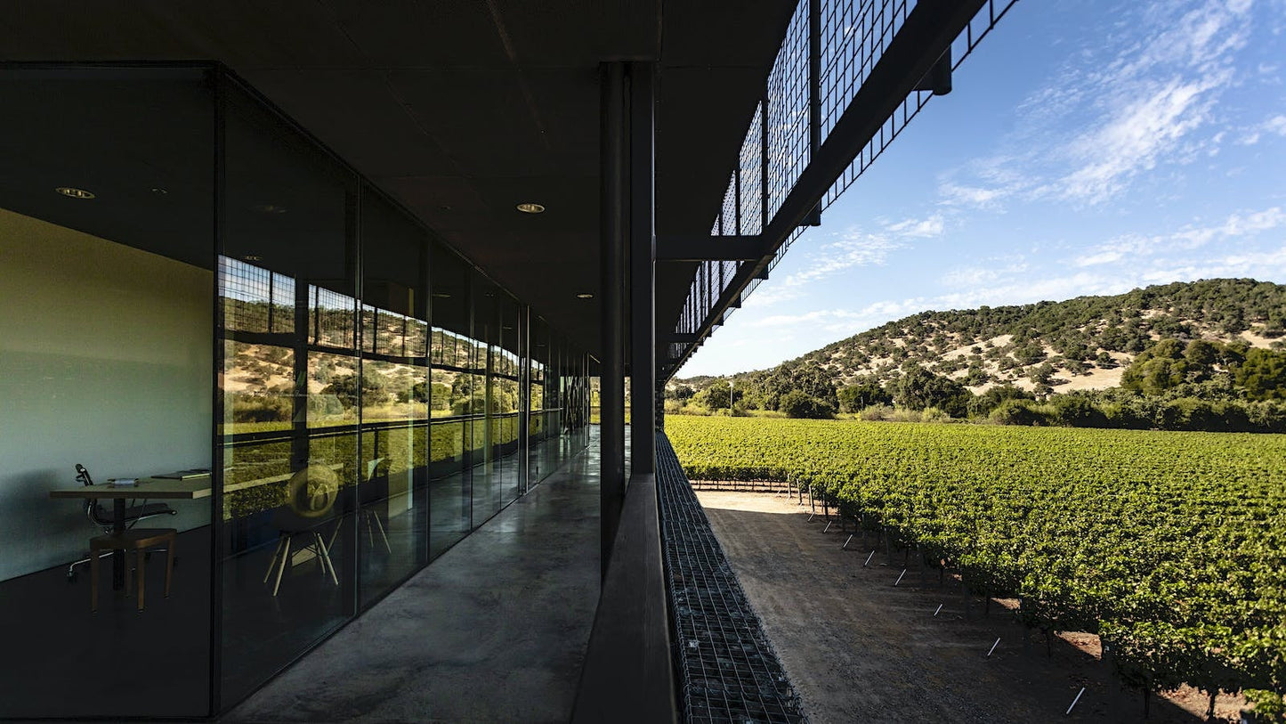 Dominus Proprietary Red 2008