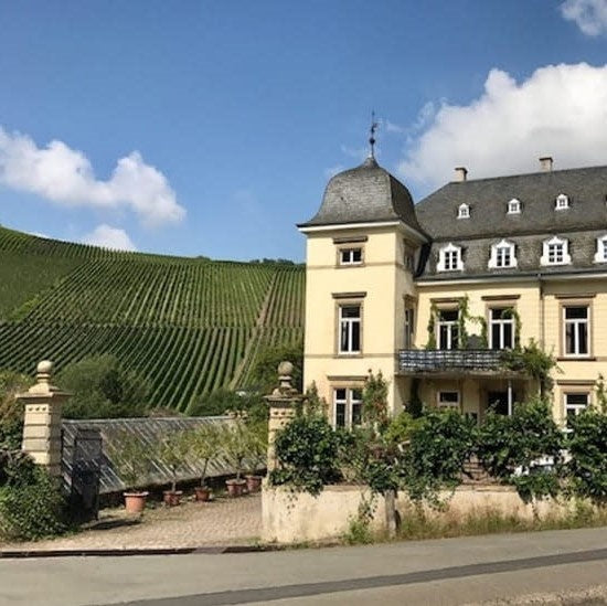 Egon Muller Le Gallais Wiltinger Braune Kupp Riesling Auslese Mosel 2018