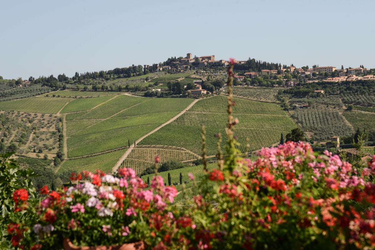 Fontodi, Flaccianello della Pieve 2018