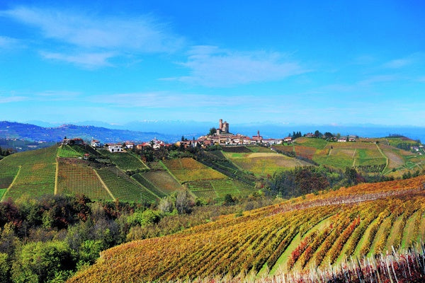 Giacomo Conterno, Barolo Cascina Francia 2007