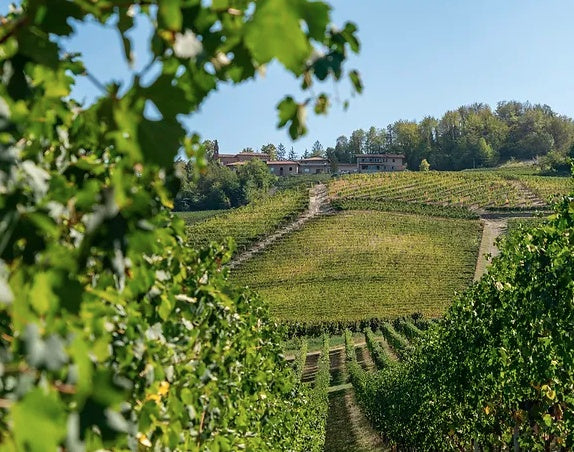 Giacomo Fenocchio Barolo Villero 2017