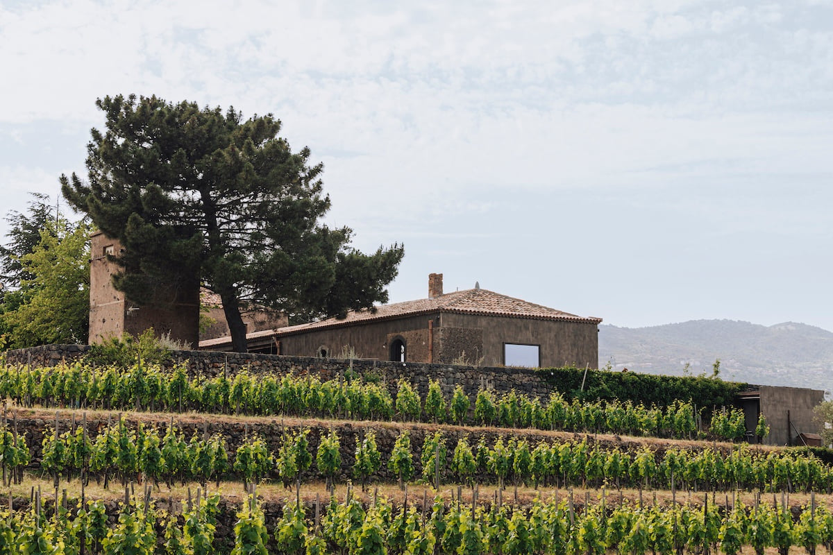 Girolamo Russo, Feudo Etna Rosso 2014