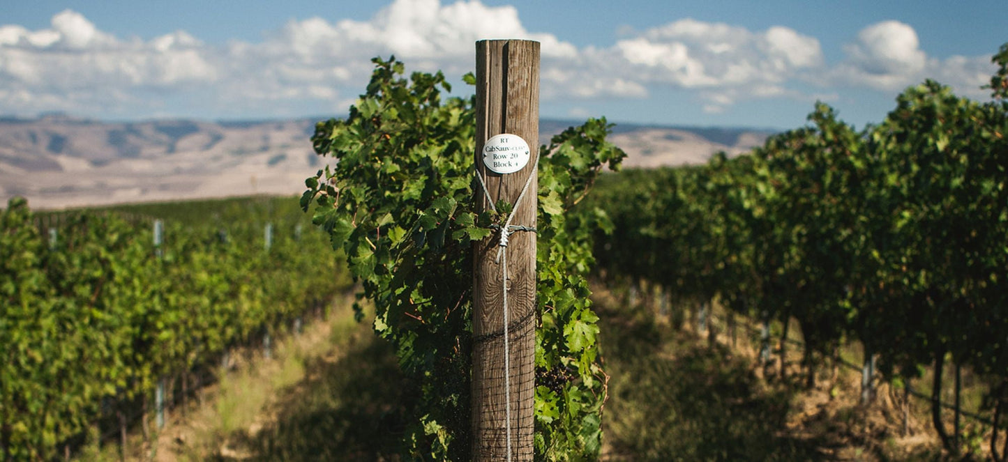 Gramercy Cellars Viognier 2021
