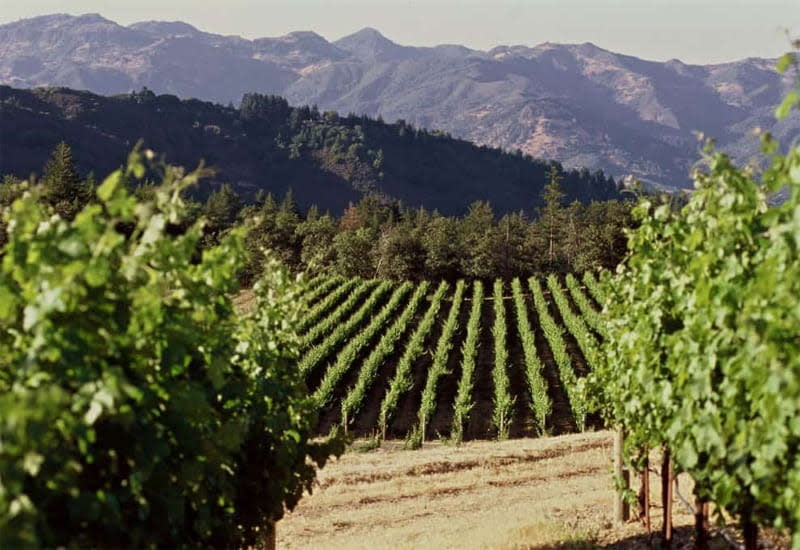 Hundred Acre, Morgan's Way Vineyard Cabernet Sauvignon, 2013