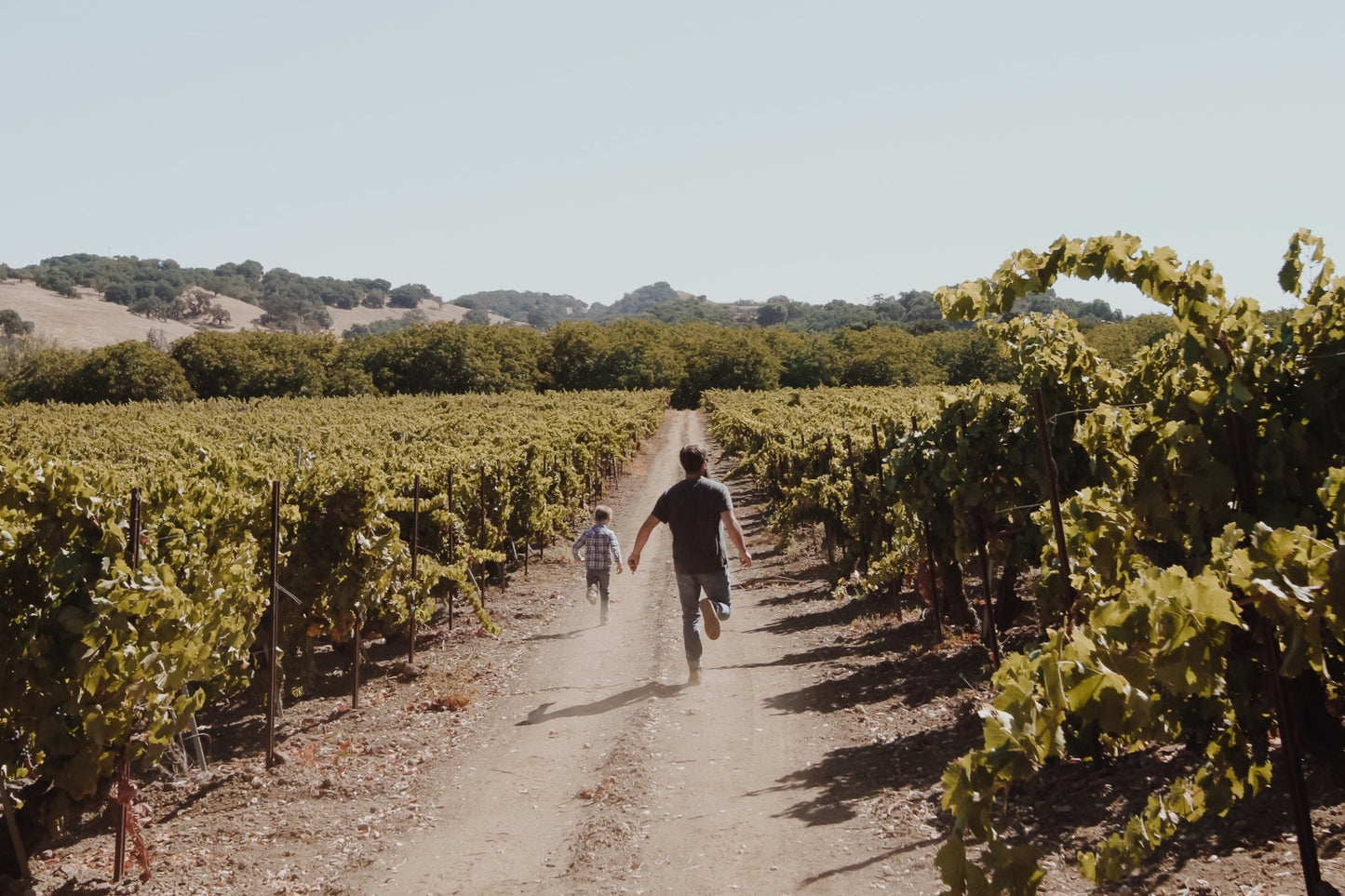 I Brand & Family Enz Vineyard Pinot Noir 2020