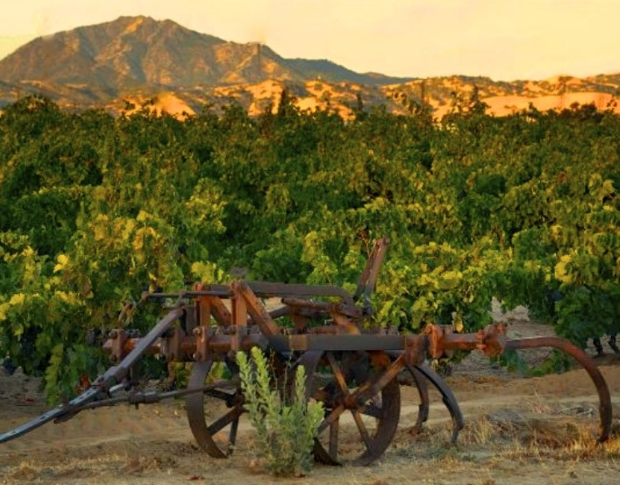Keep Wines, Kahn Vineyard Syrah 2018