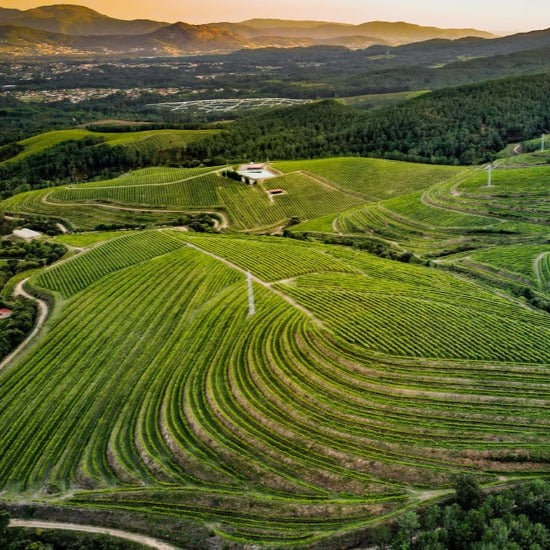 CVNE La Val Orballo Albariño 2023