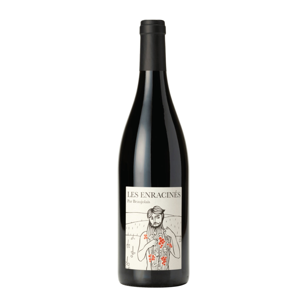 Les Enracines, Beaujolais Sans Soufre 2023
