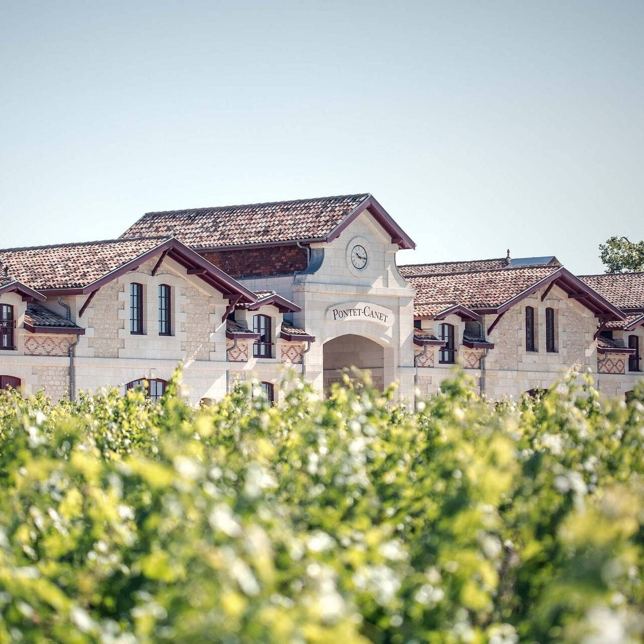 Château Pontet Canet Grand Vin 2009