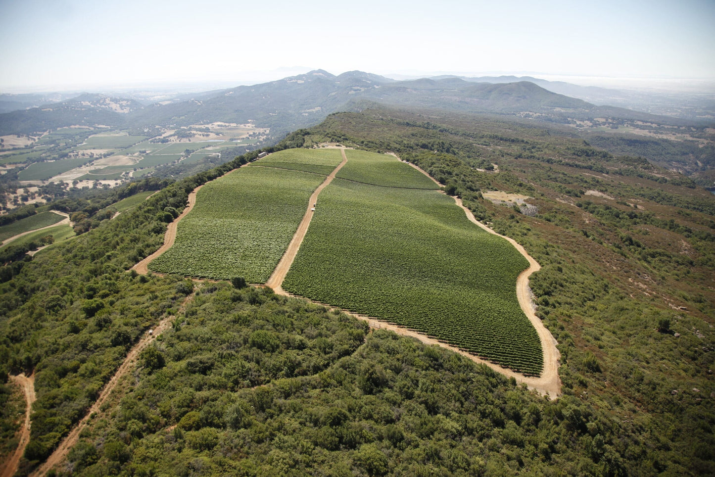 Pahlmeyer, Chardonnay 2020