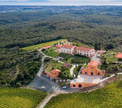 Pakravan Papi Cancellaia IGT Toscana 2014