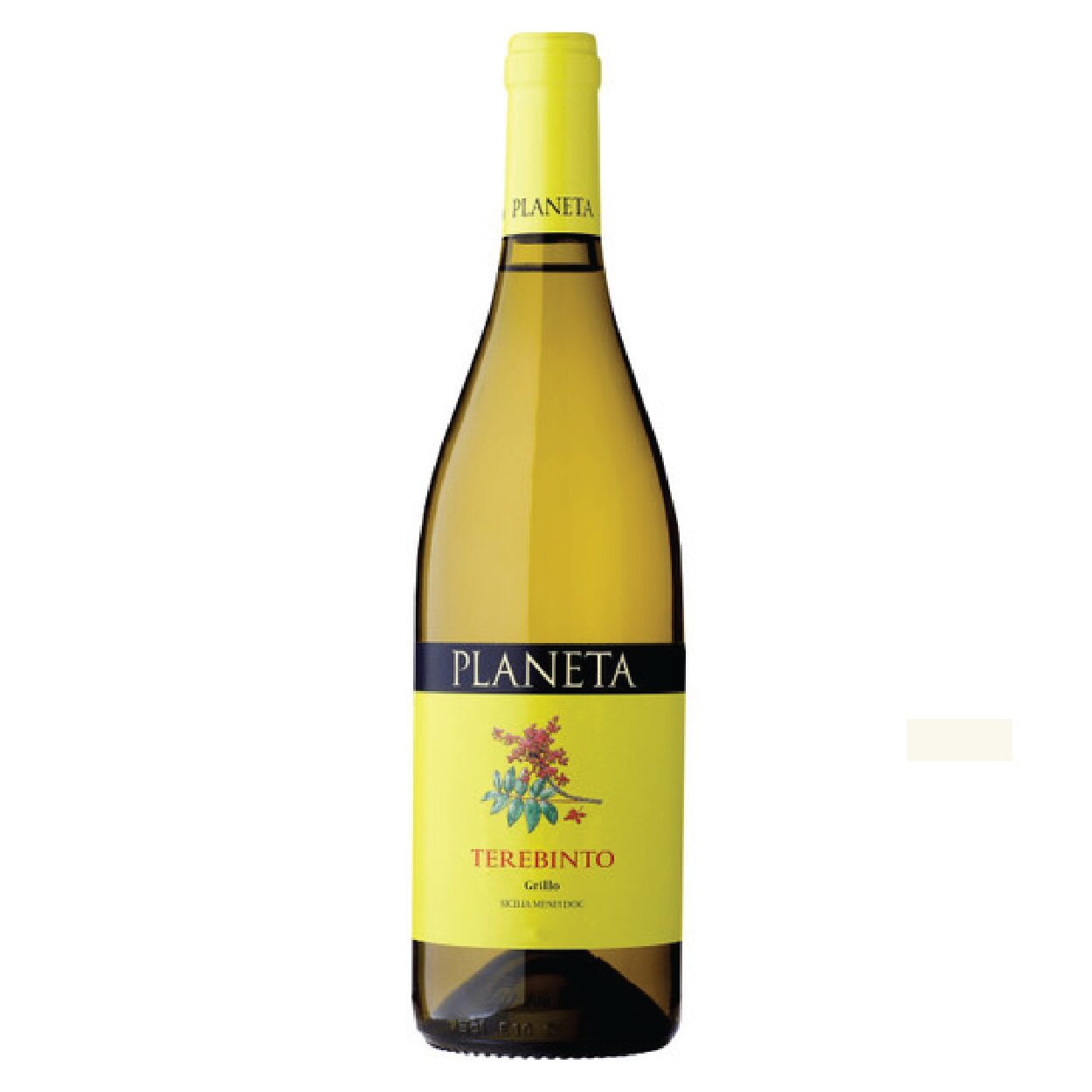 Planeta Terebinto Grillo 2020