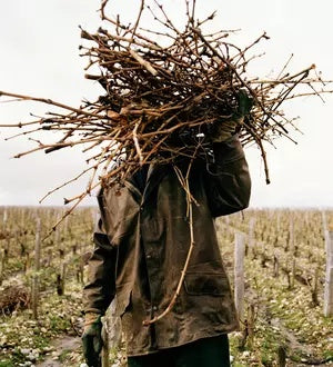 Porseleinberg, Syrah 2021