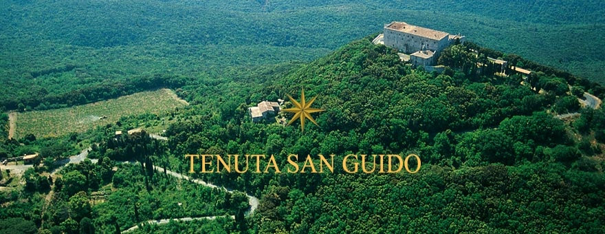 Tenuta San Guido Le Difese 2021