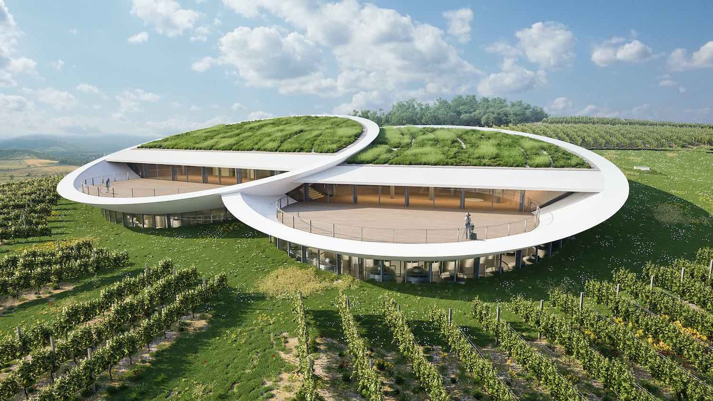 Sauska Late Harvest Cuvée 2022