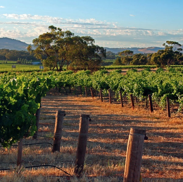 Schubert Estate Gooseyard Block Shiraz 2007