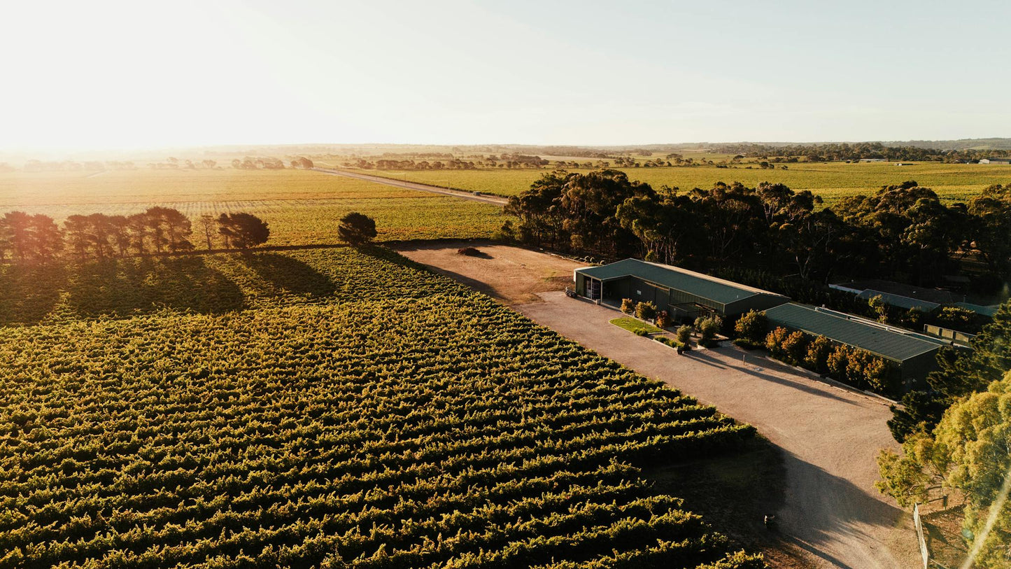 Shirvington, Cabernet Sauvignon 2008