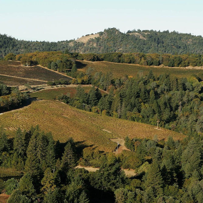 Turley, 'Dragon Vineyard' Zinfandel 2022