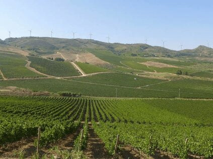 Tenuta Rapitala Hugonis Sicilia IGT 2016