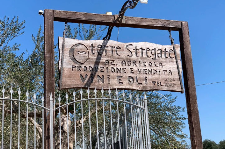 Terre Stregate 'Svelato' Falanghina del Sannio 2023