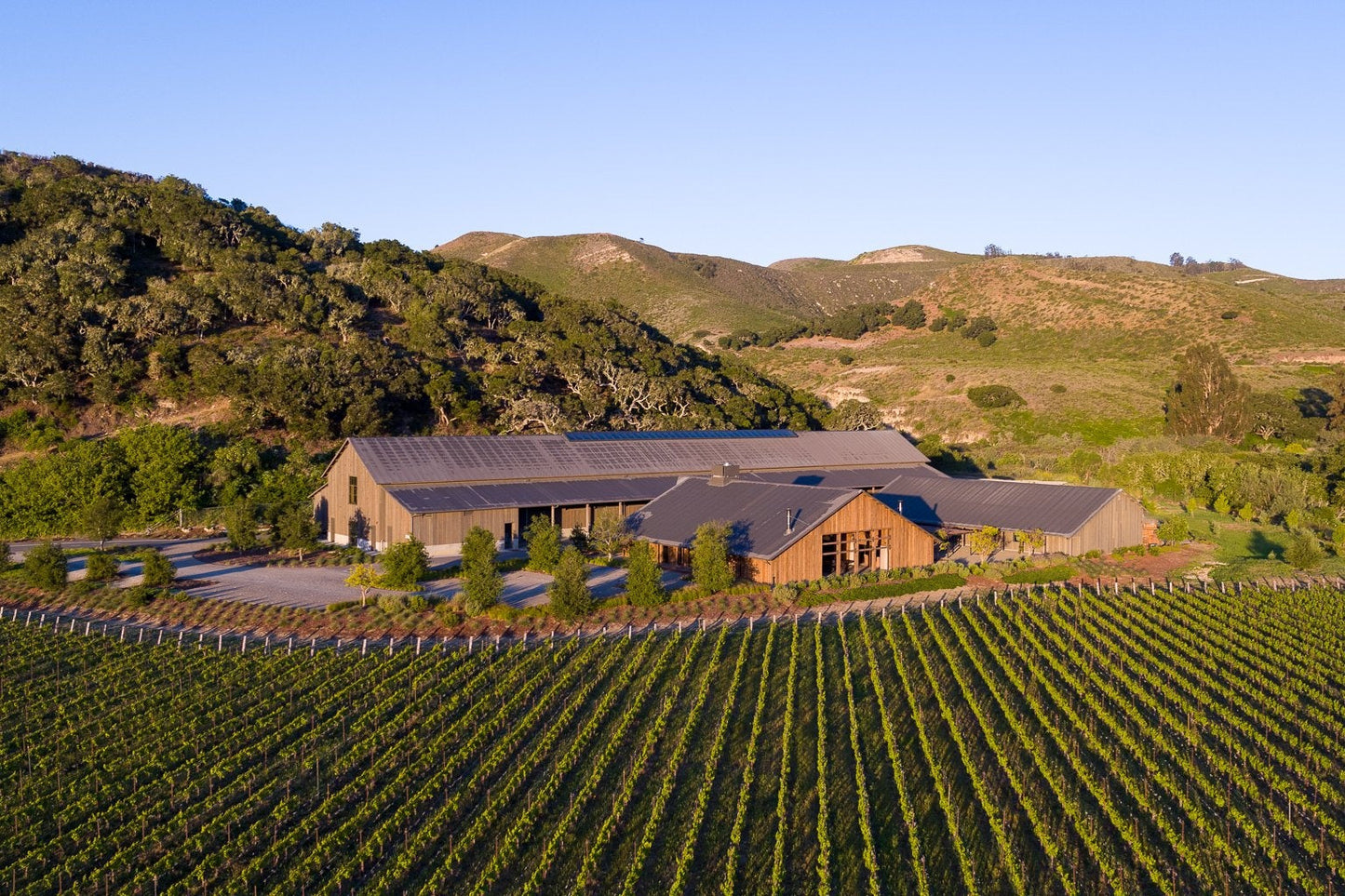 The Hilt Estate Pinot Noir 2020