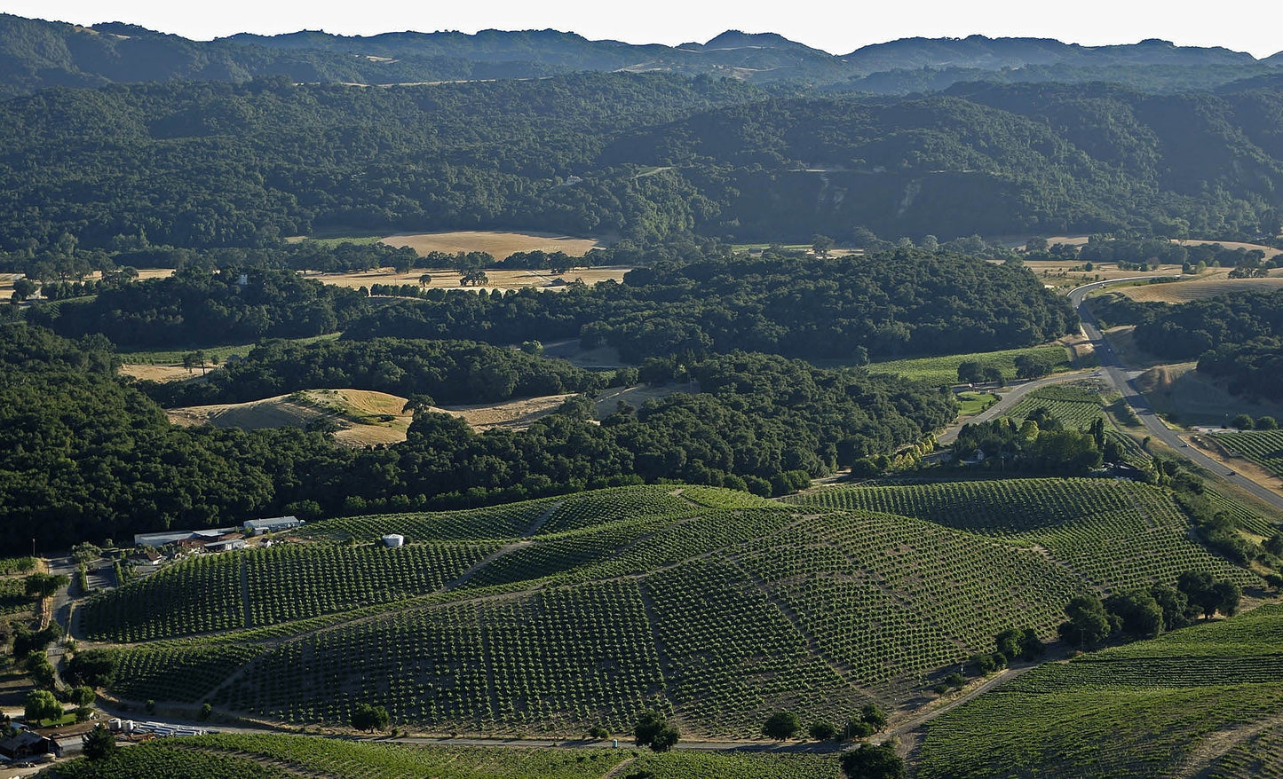 Turley “Old Vines” Zinfandel Lodi 2020