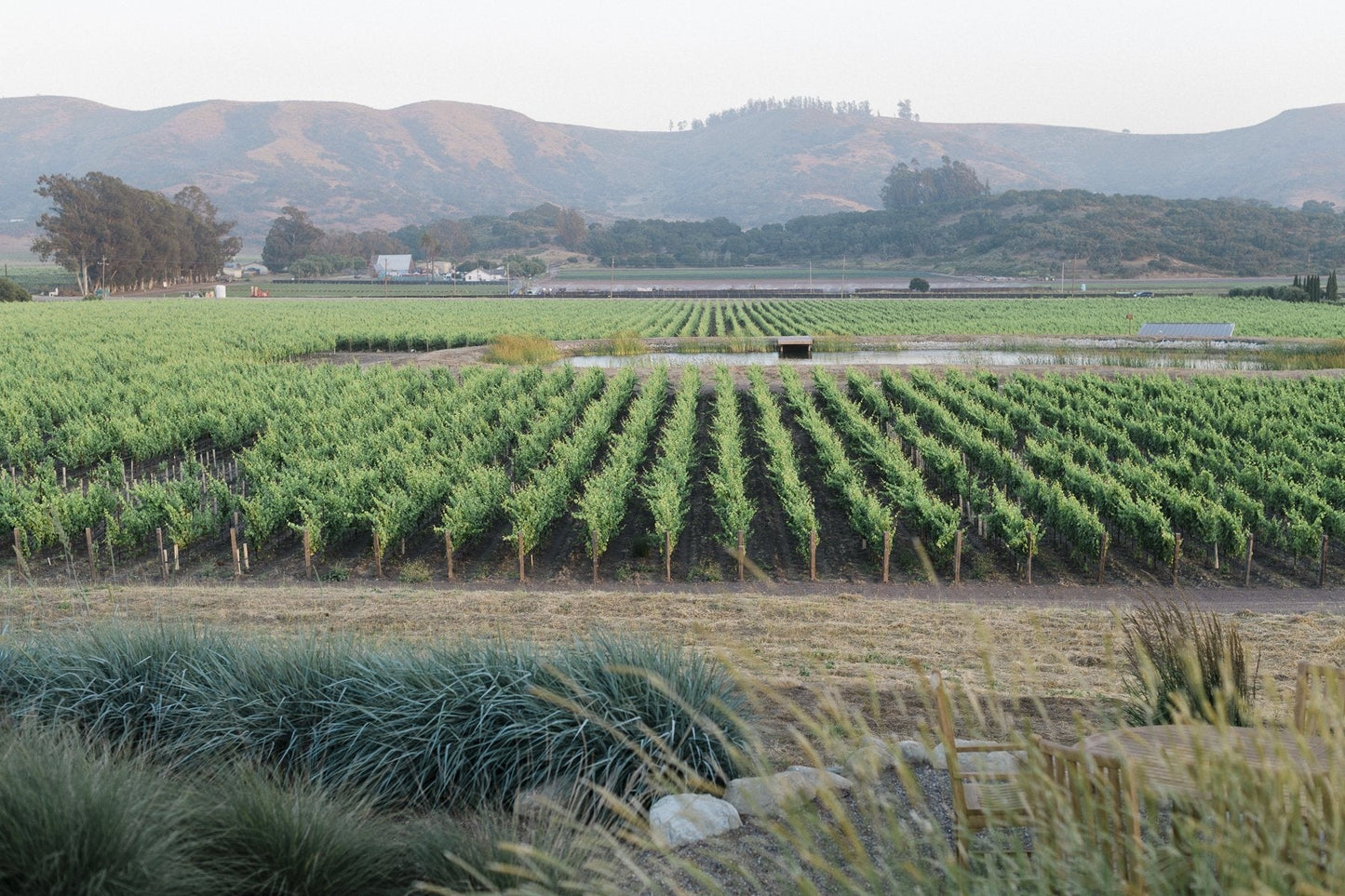 Tyler Winery Santa Barbara County Chardonnay 2022