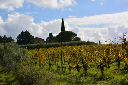 Valdicava Madonna del Piano Riserva 2010