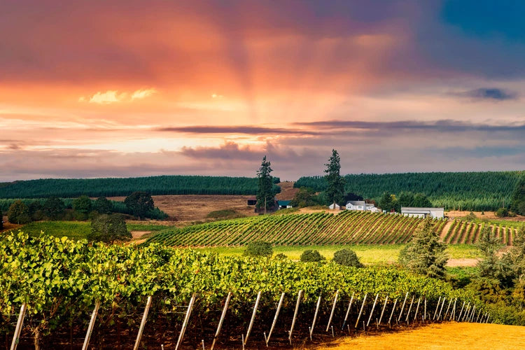 Cayuse Vineyards, Cailloux Vineyard Syrah 2014
