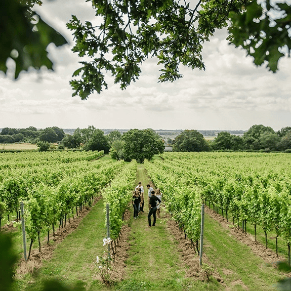 Gusbourne, Brut Reserve Late Disgorgement 2015