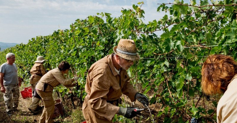 Il Poggione, Brunello di Montalcino, Vigna Paganelli Riserva, 2010