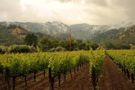Eisele Vineyard, 'Altagracia' Cabernet Sauvignon 2017