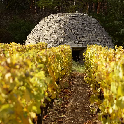 Olivier Tricon, Petit Chablis 2022