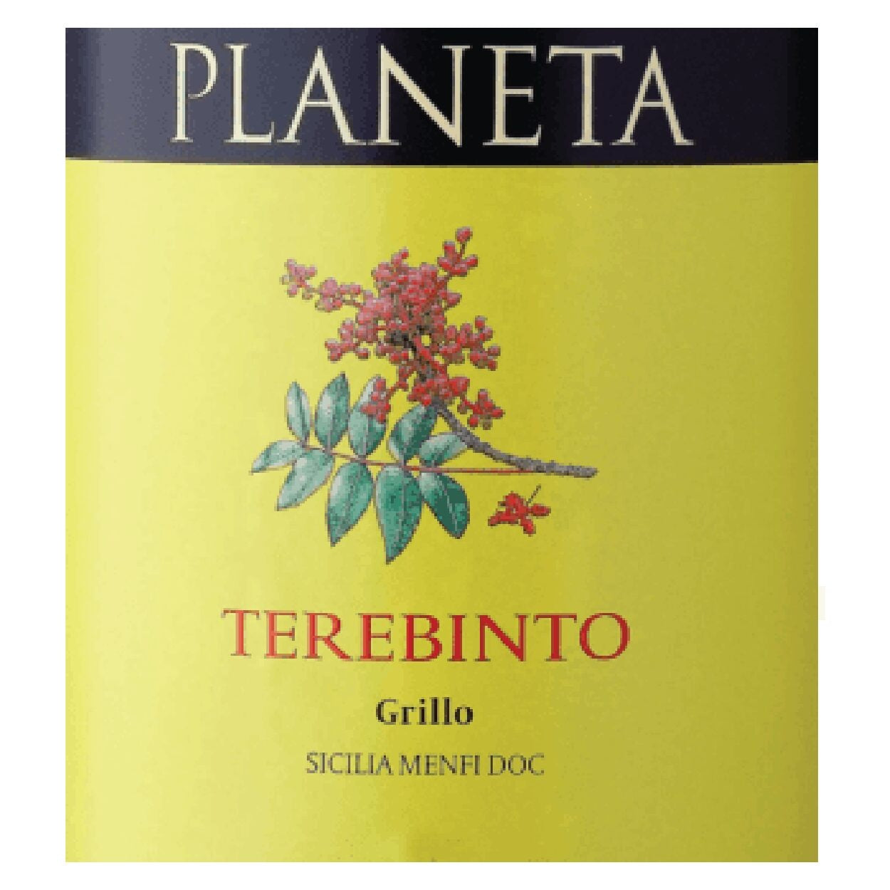 Planeta Terebinto Grillo 2022