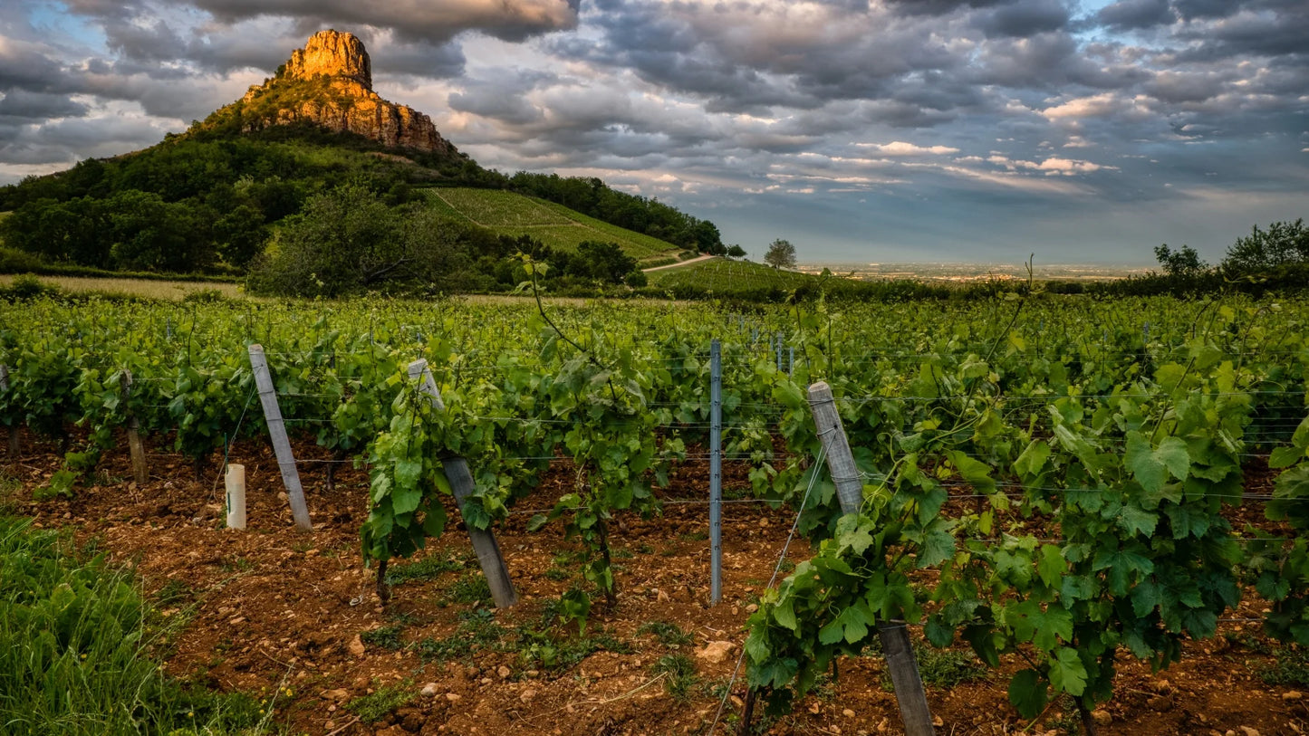 J.A. Ferret, Pouilly-Fuissé 'Clos de Jeanne' Tetê de Cru, 2023