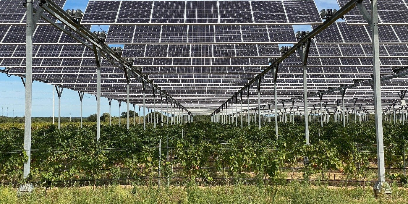 Sustainable Wines
