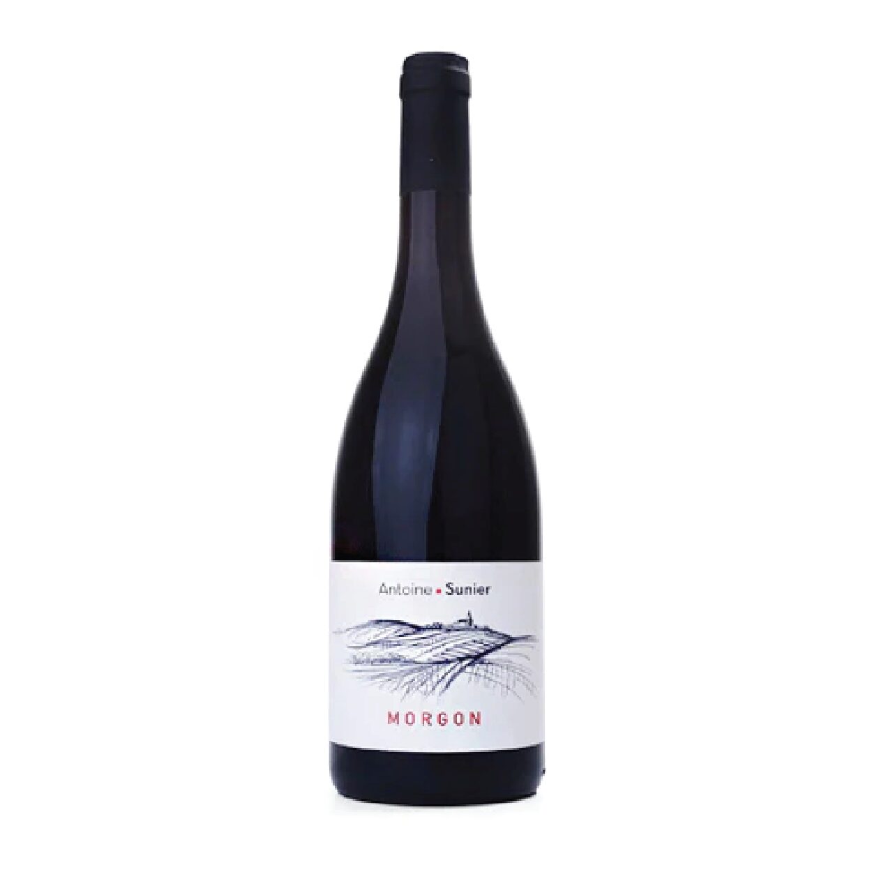 Domaine Antoine Sunier Morgon 2021