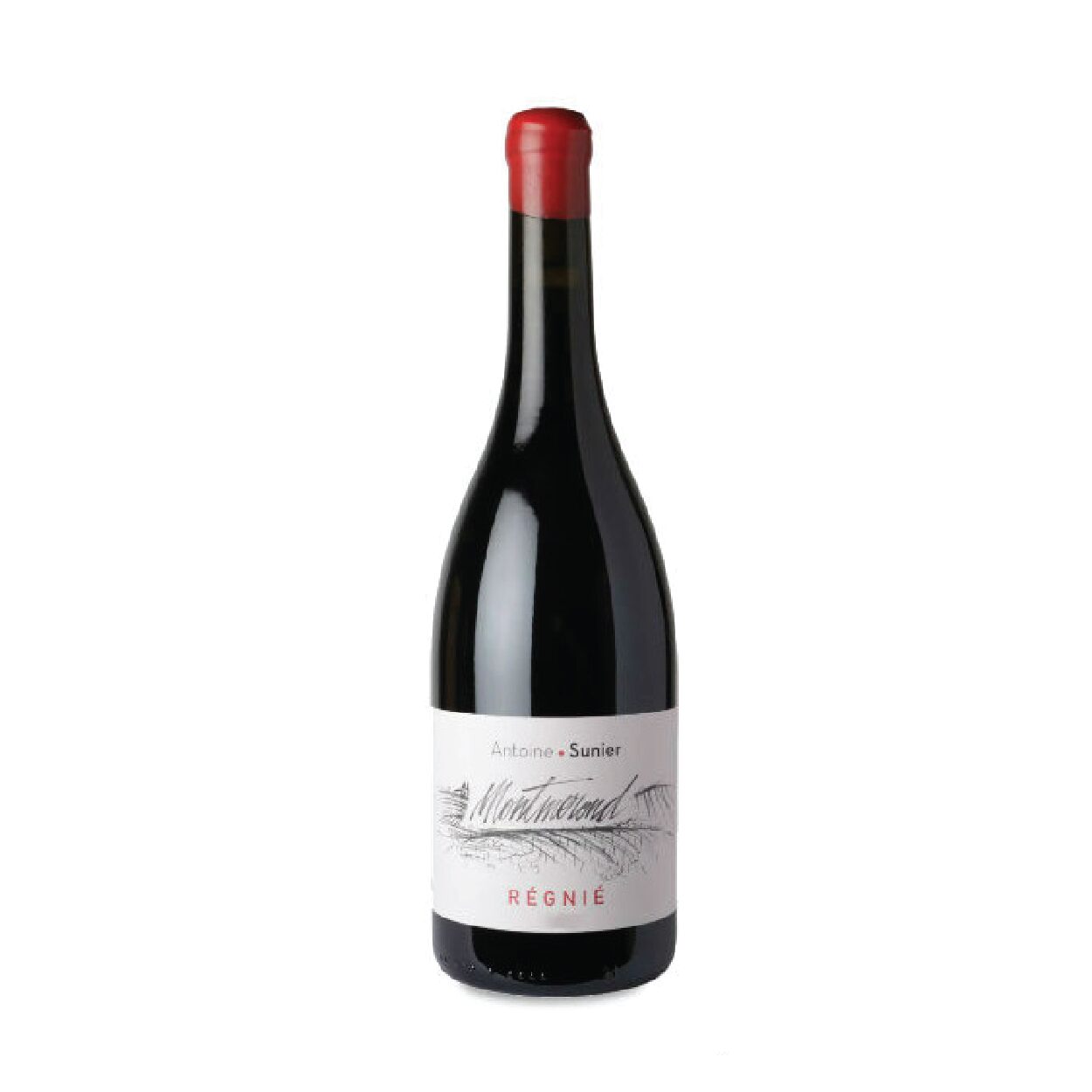 Domaine Antoine Sunier Régnié 2021
