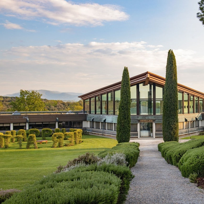 Tenuta dell'Ornellaia Le Volte  2023