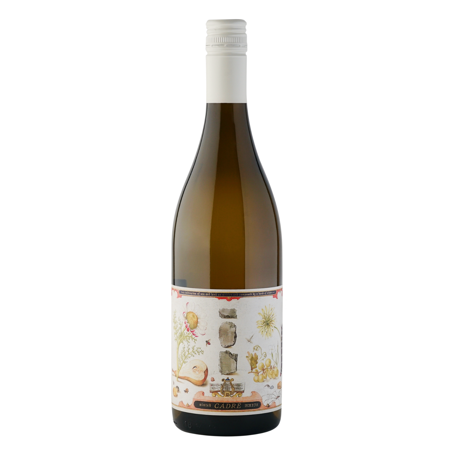Cadre, Band of Stones Grüner Veltliner 2024