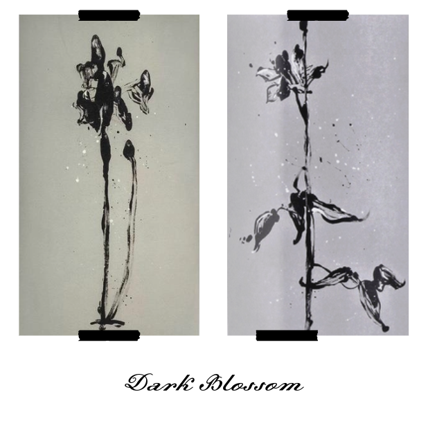 Sine Qua Non, Dark Blossom Assortment Case, 2011