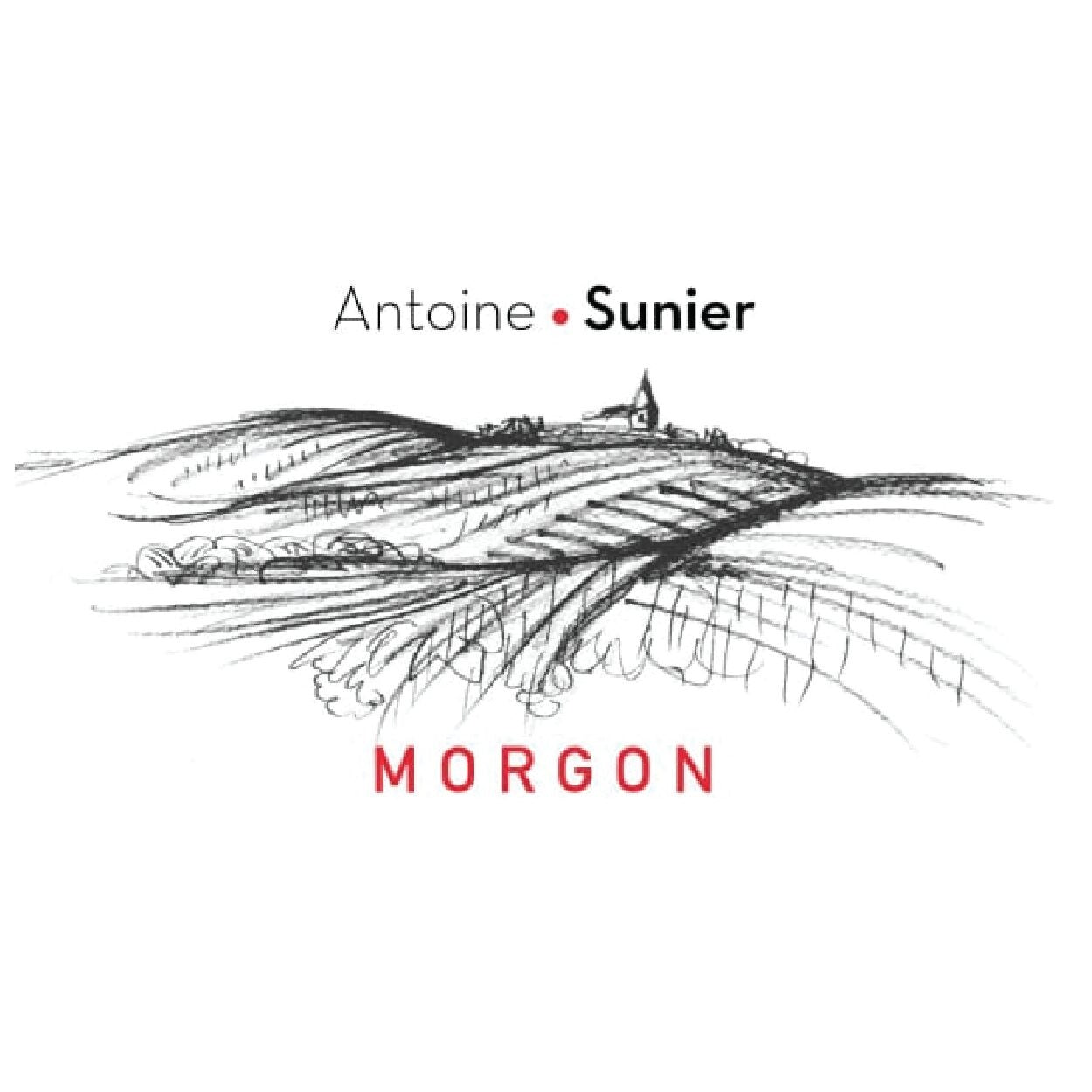 Domaine Antoine Sunier Morgon 2021
