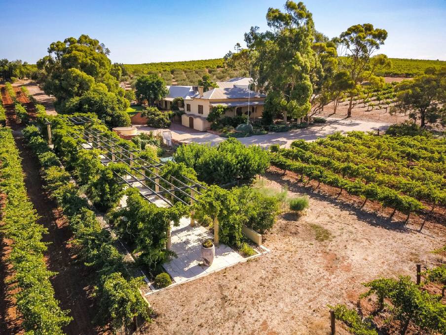 Greenock Creek, Apricot Block Shiraz, 2005